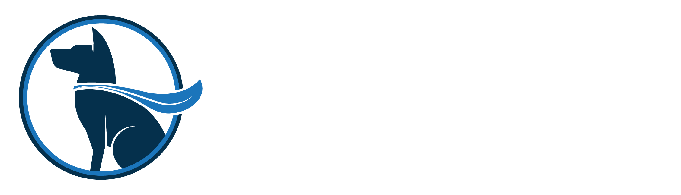 The Truth About Dog Training Tools — Wonderdog Training, LLC