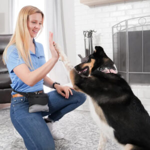 dog training in home